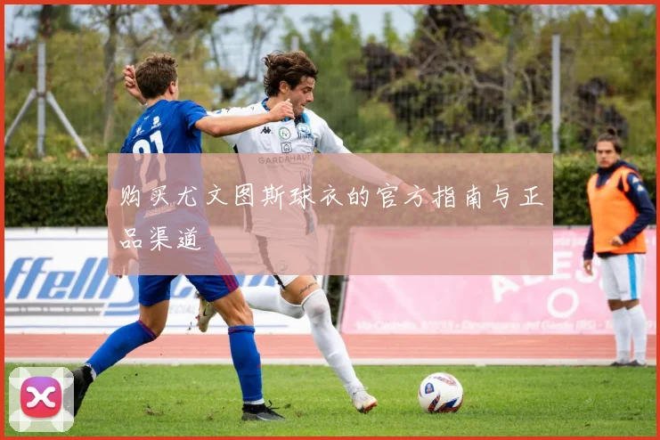 购买尤文图斯球衣的官方指南与正品渠道